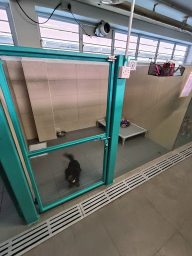 Photo from customer review